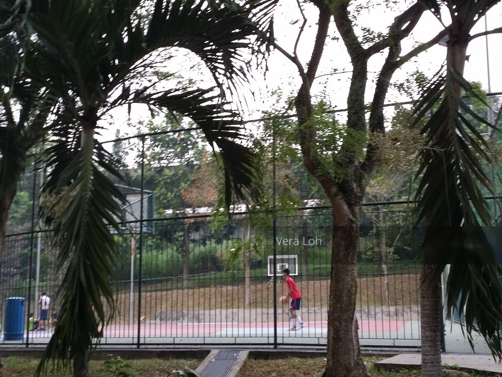 Blk 483 Segar Road (Bukit Panjang), HDB 4 Rooms #136839862